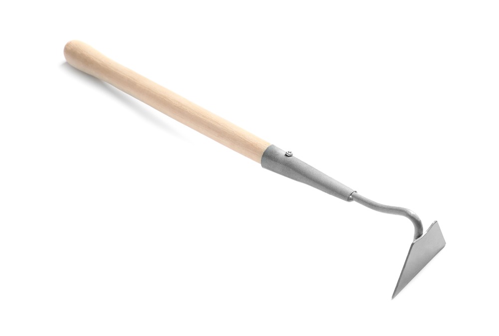shutterstock 1106156582